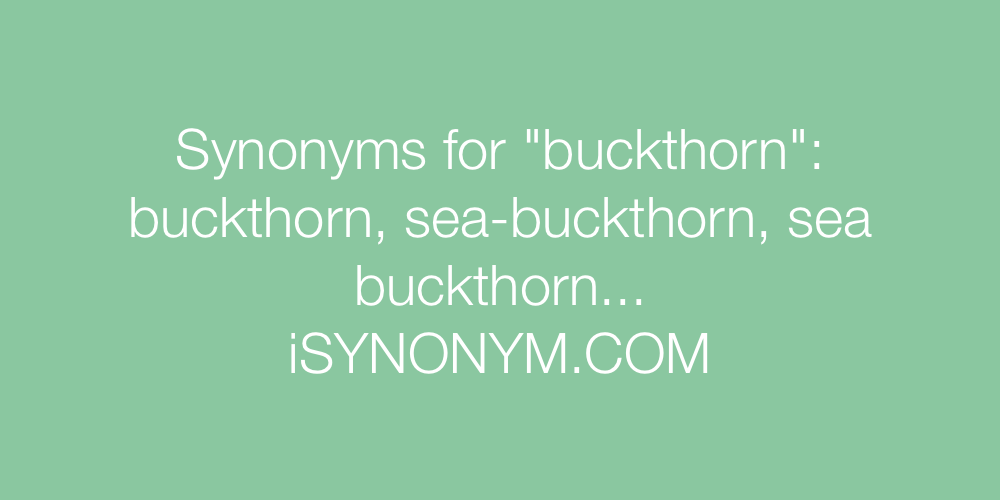 Synonyms buckthorn