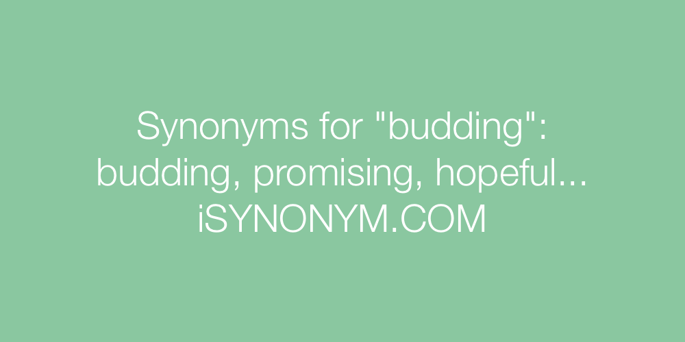 Synonyms budding