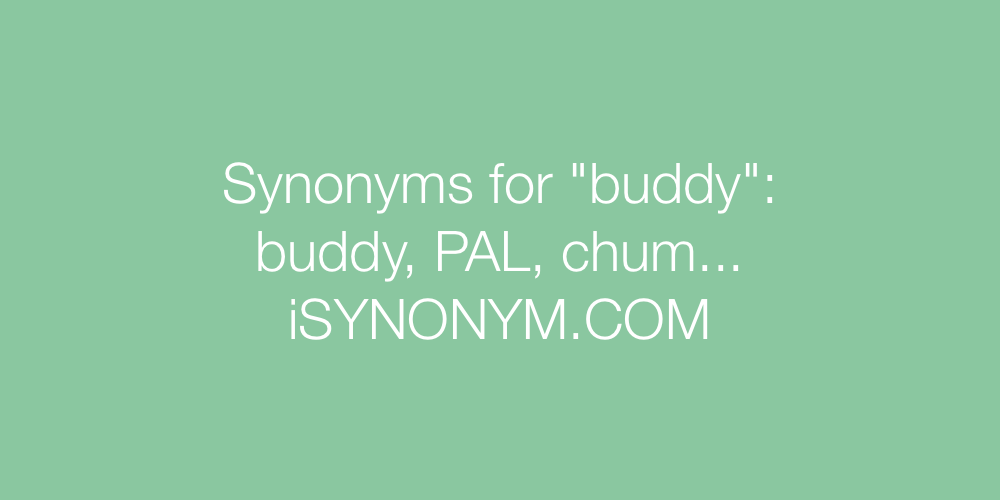 Synonyms buddy