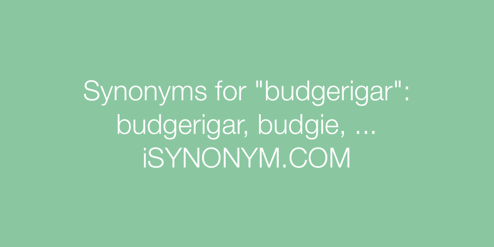 Synonyms budgerigar