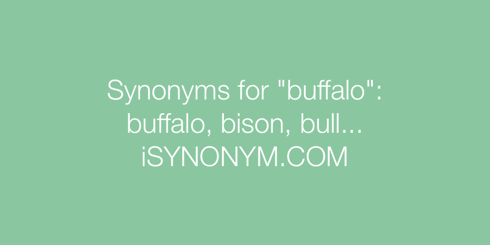 Synonyms buffalo