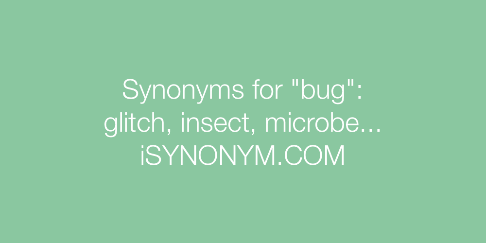Synonyms bug