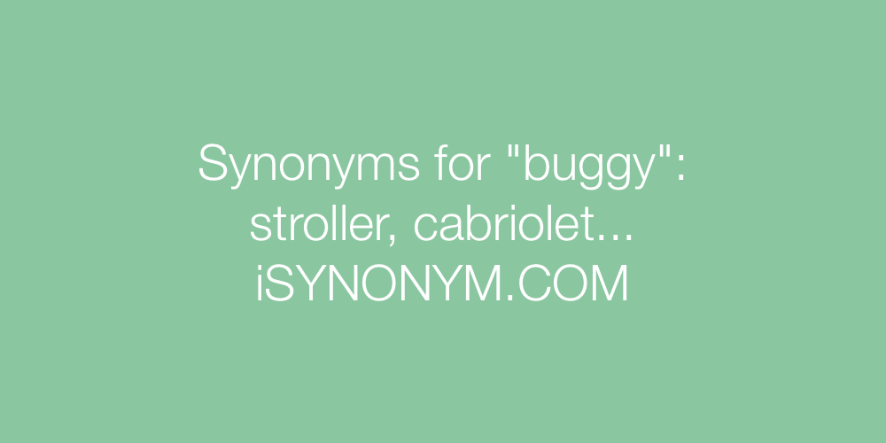 Synonyms buggy
