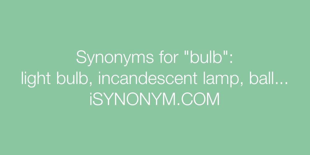Synonyms bulb