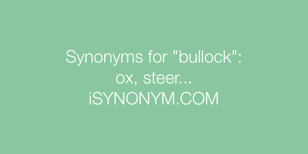 Synonyms bullock
