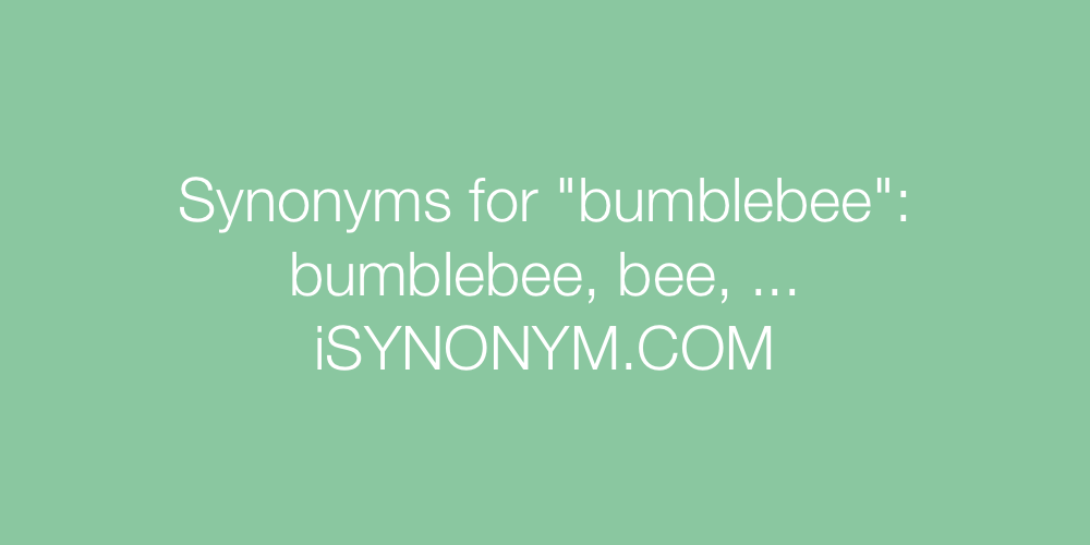 Synonyms bumblebee