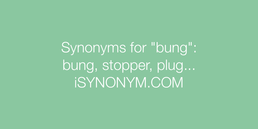 Synonyms bung