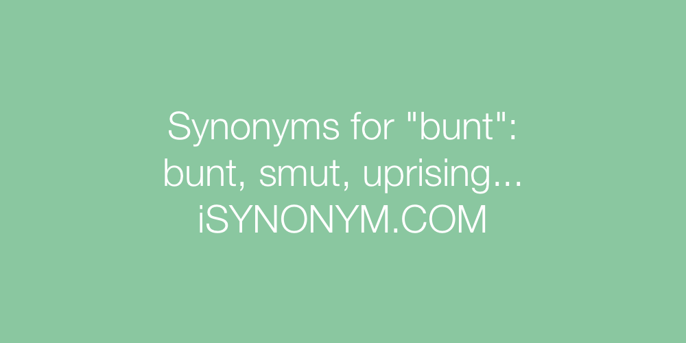 Synonyms bunt