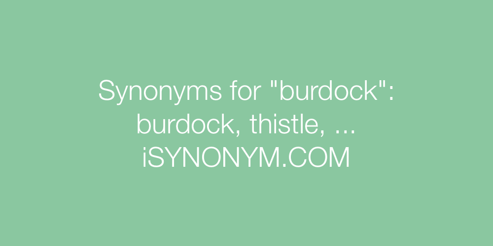 Synonyms burdock