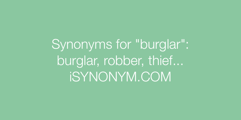 Synonyms burglar