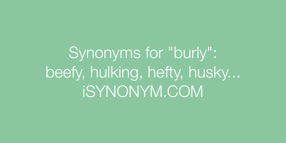 Synonyms burly
