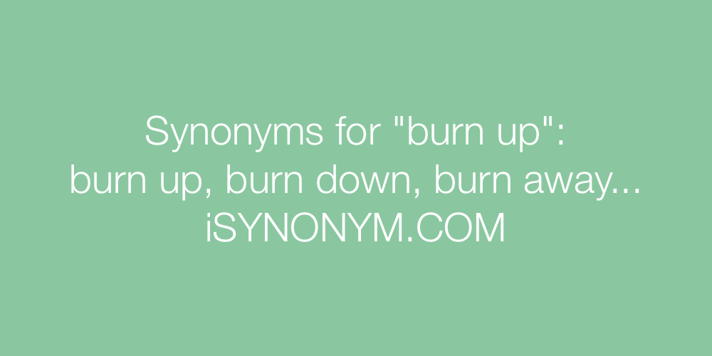 Synonyms burn up