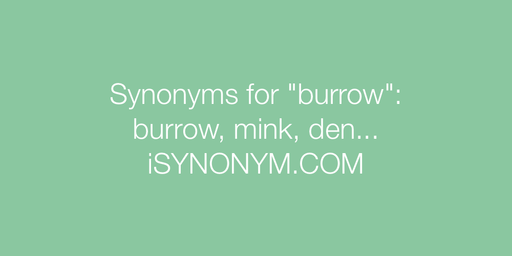 Synonyms burrow