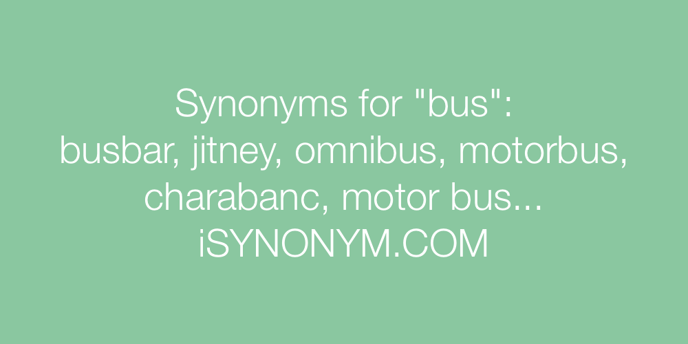 Synonyms bus