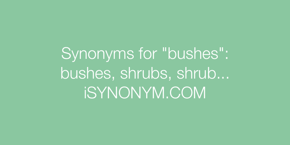 Synonyms bushes