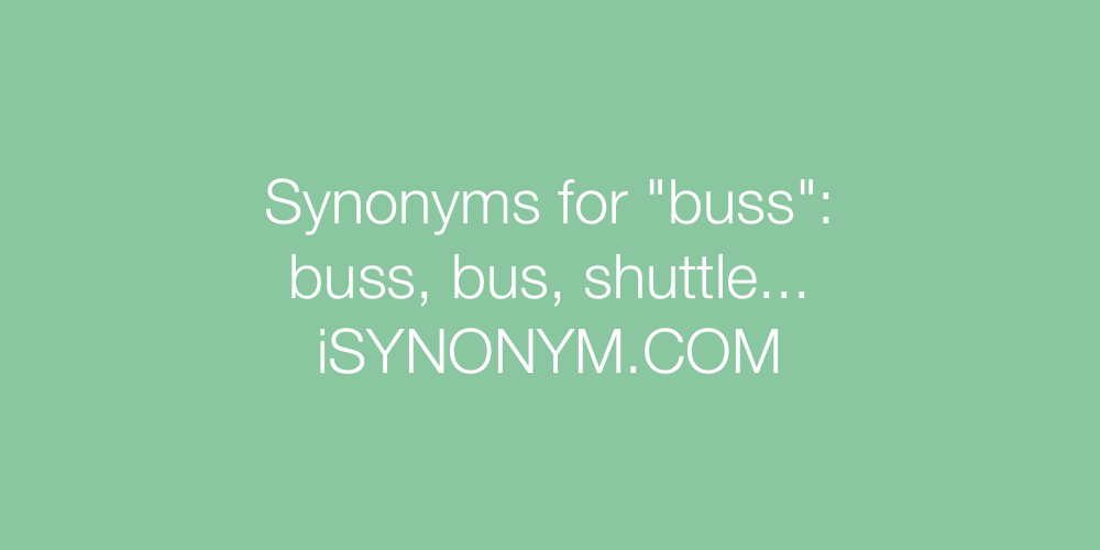 Synonyms buss
