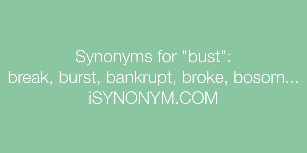 Synonyms bust