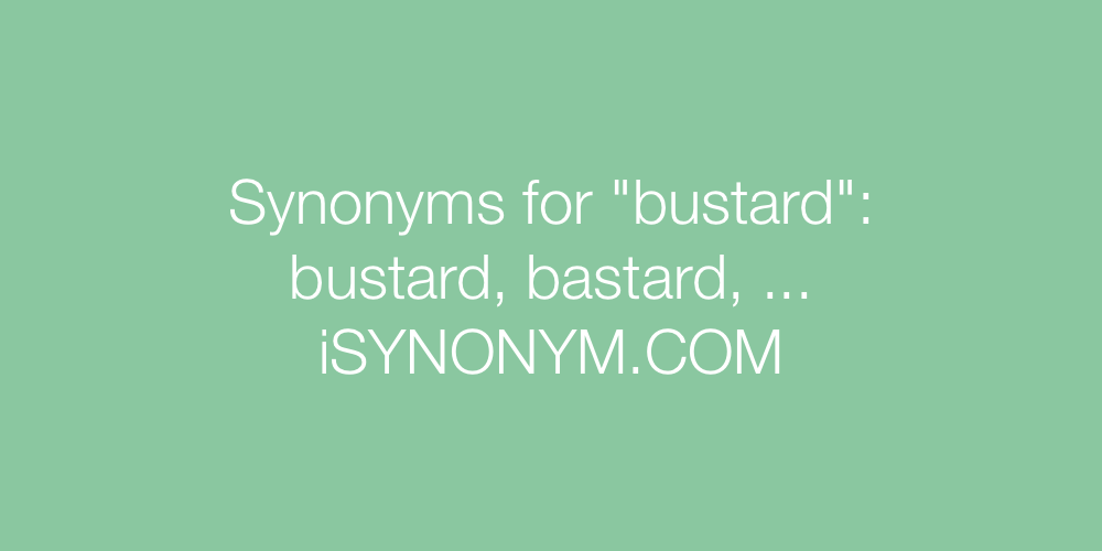 Synonyms bustard