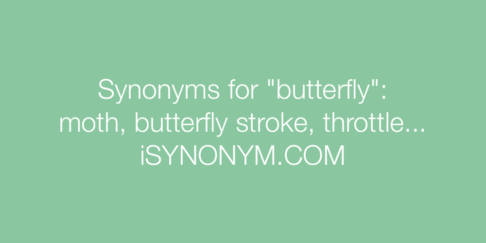 Synonyms butterfly