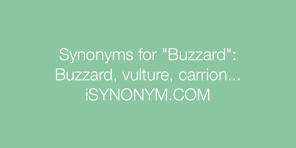 Synonyms Buzzard