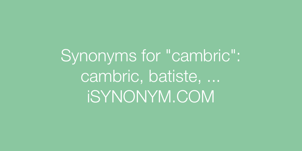 Synonyms cambric