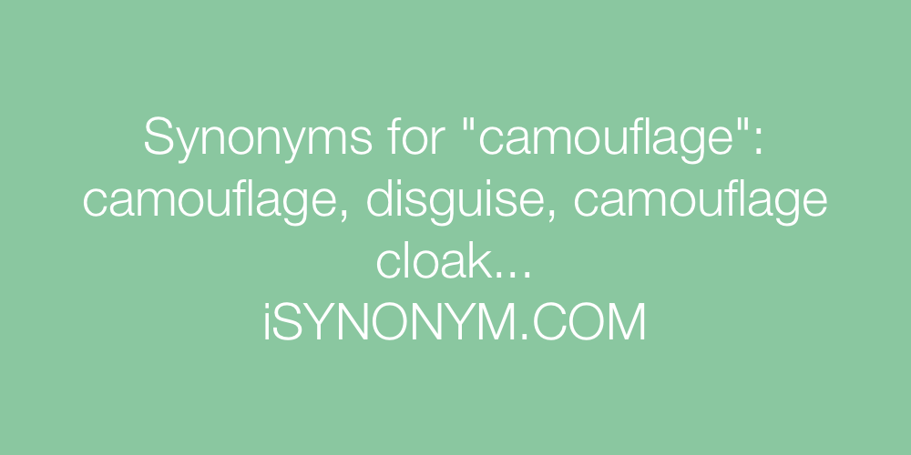 Synonyms camouflage