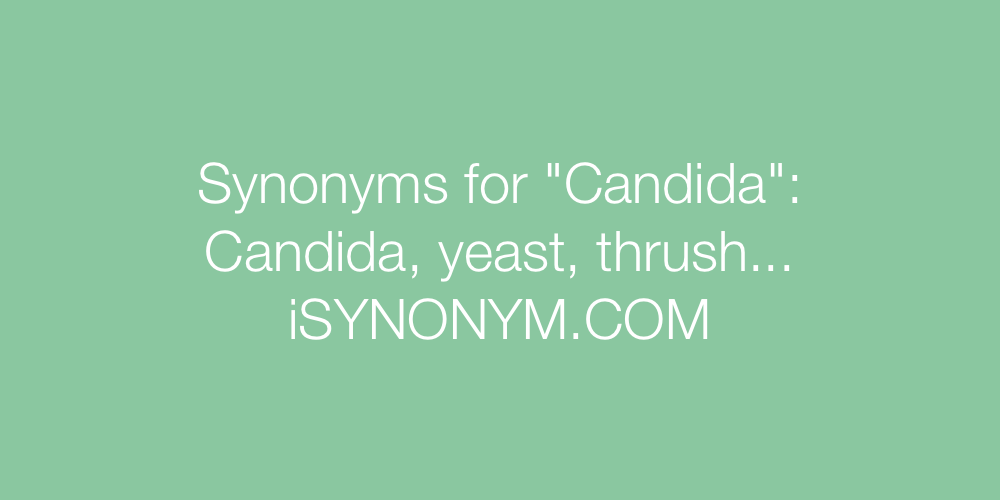Synonyms Candida