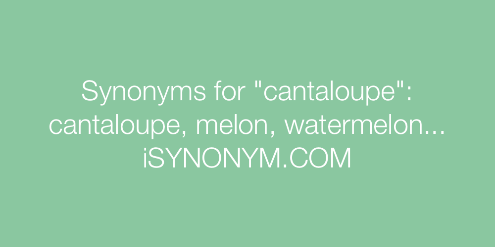 Synonyms cantaloupe