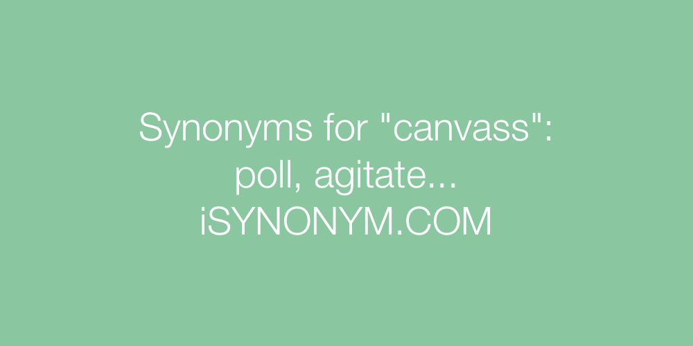 Synonyms canvass