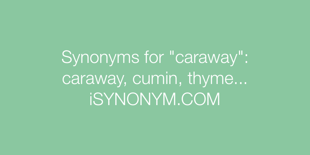 Synonyms caraway