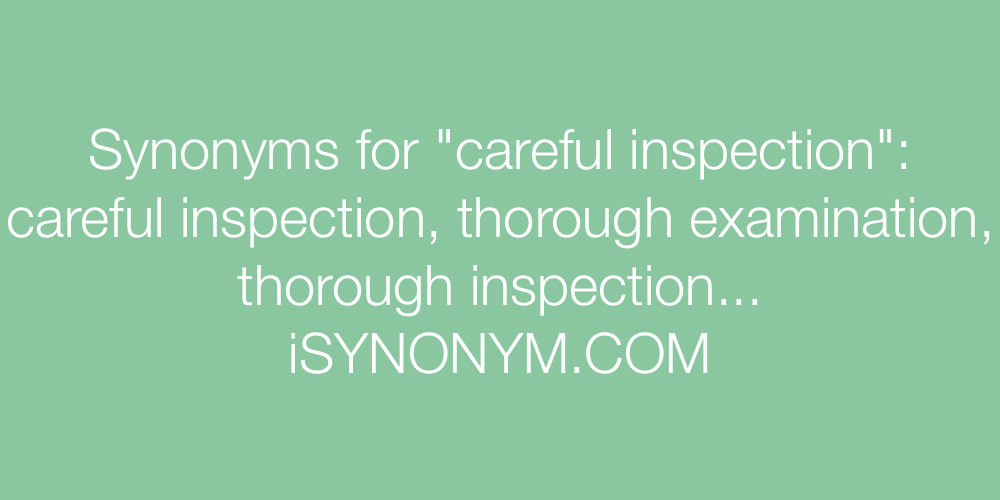 Synonyms careful inspection
