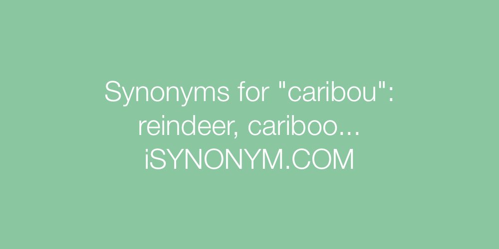 Synonyms caribou