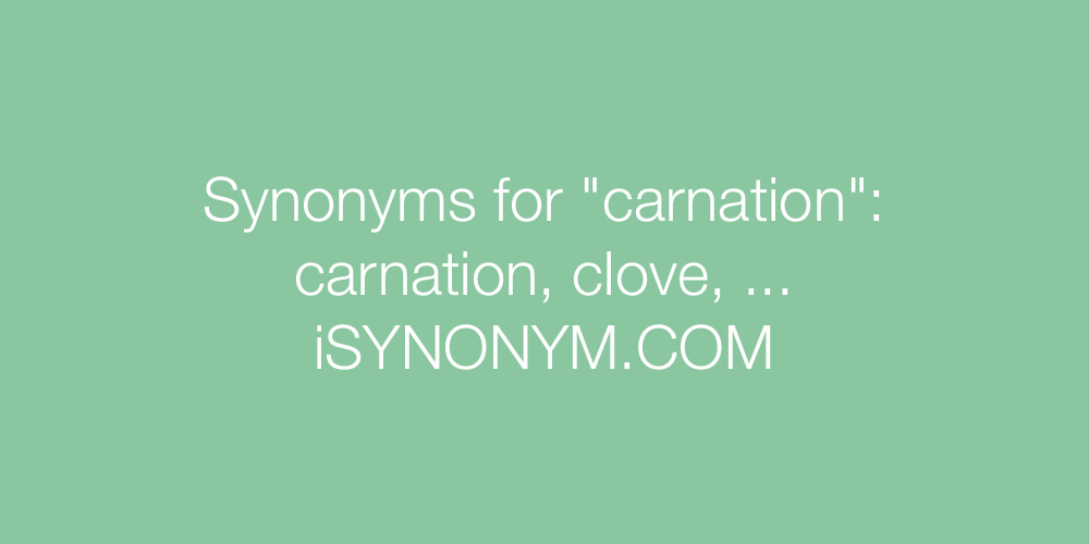 Synonyms carnation
