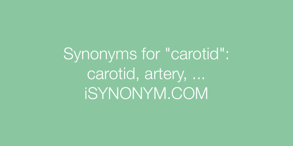 Synonyms carotid