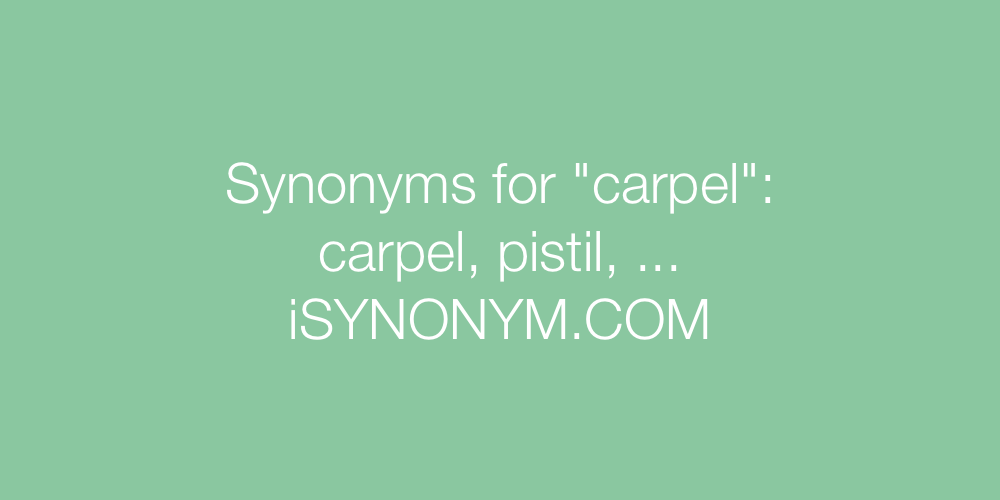 Synonyms carpel