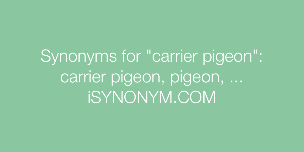 Synonyms carrier pigeon