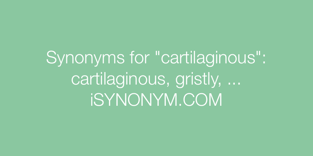 Synonyms cartilaginous