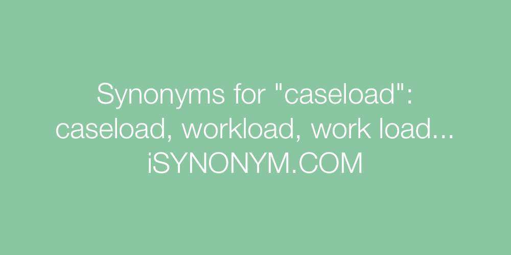 Synonyms caseload