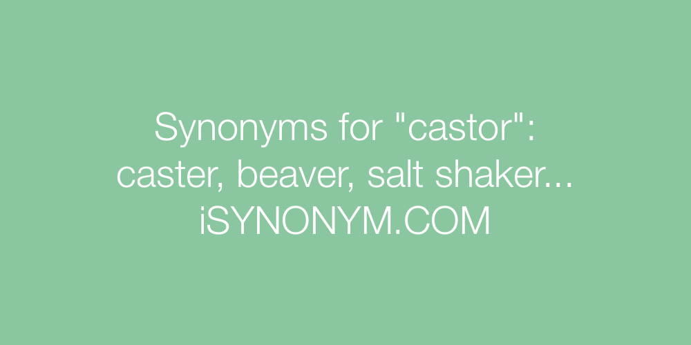 Synonyms castor