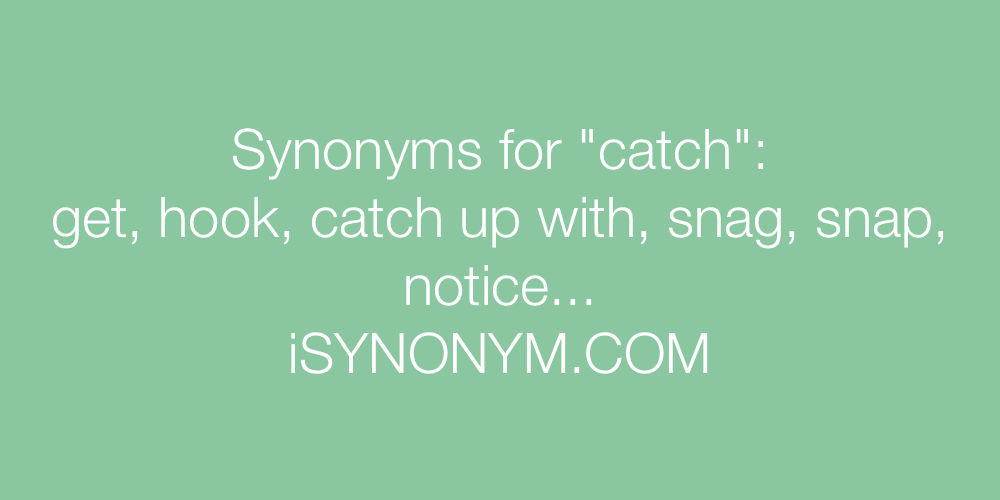 catching Synonyms, catching Antonyms