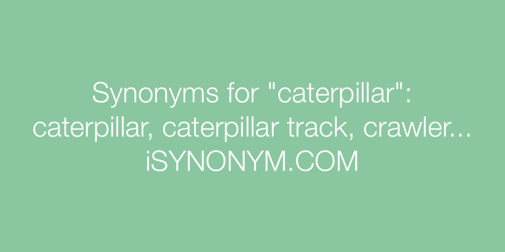 Synonyms caterpillar