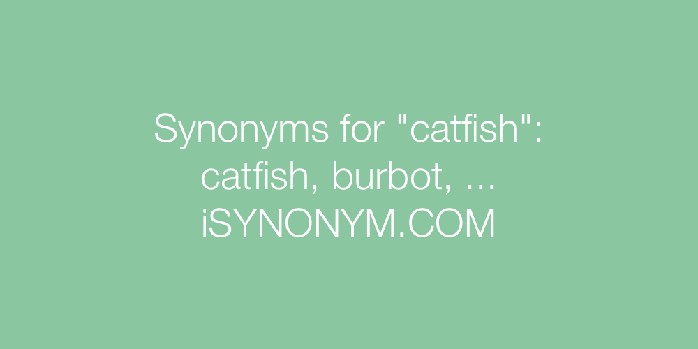 Synonyms catfish