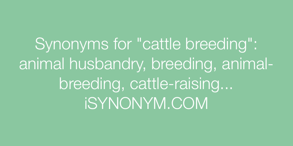 Synonyms cattle breeding