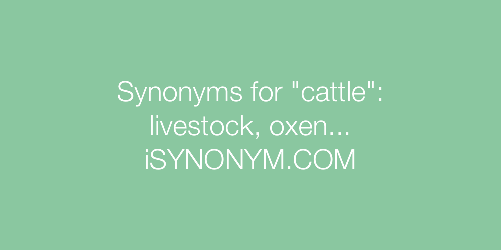 Synonyms cattle
