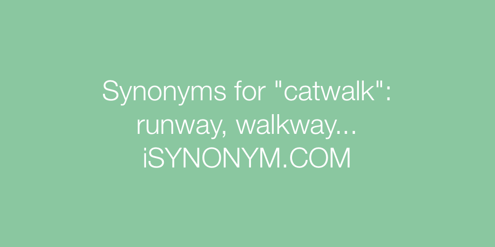 Synonyms catwalk
