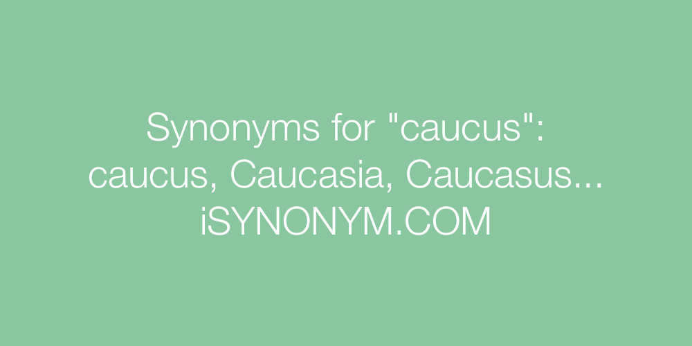Synonyms caucus