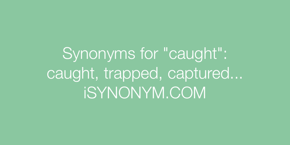 Synonyms caught