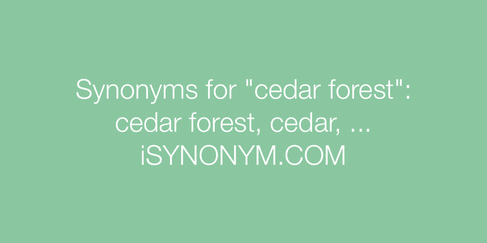 Synonyms cedar forest