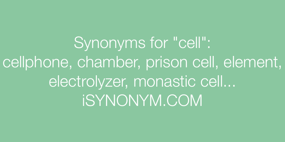Synonyms cell