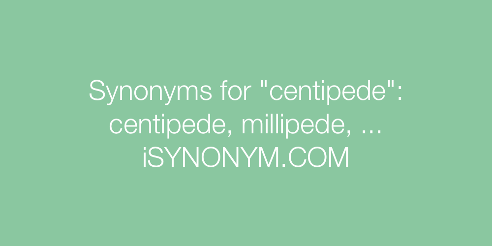 Synonyms centipede